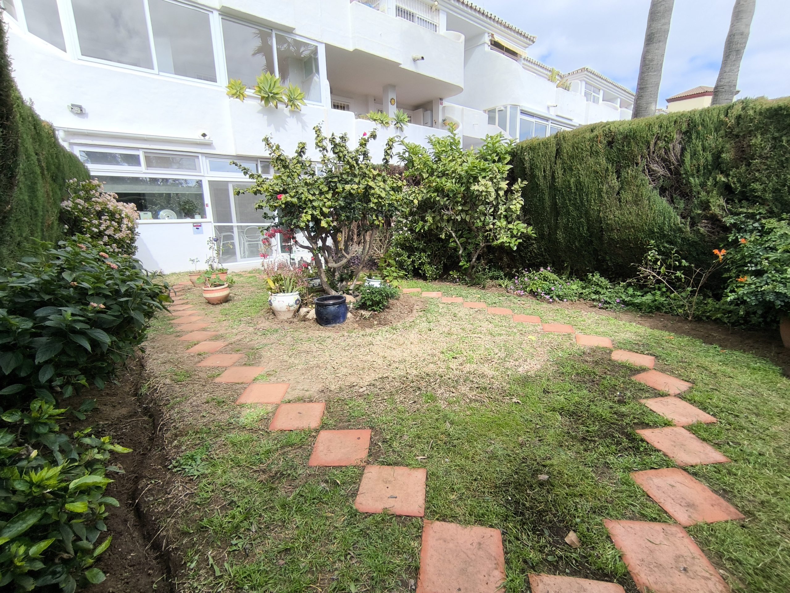 A small garden with terracotta tile path