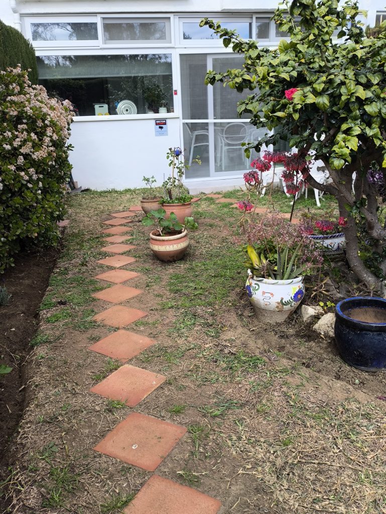 A small garden with terracotta tile path