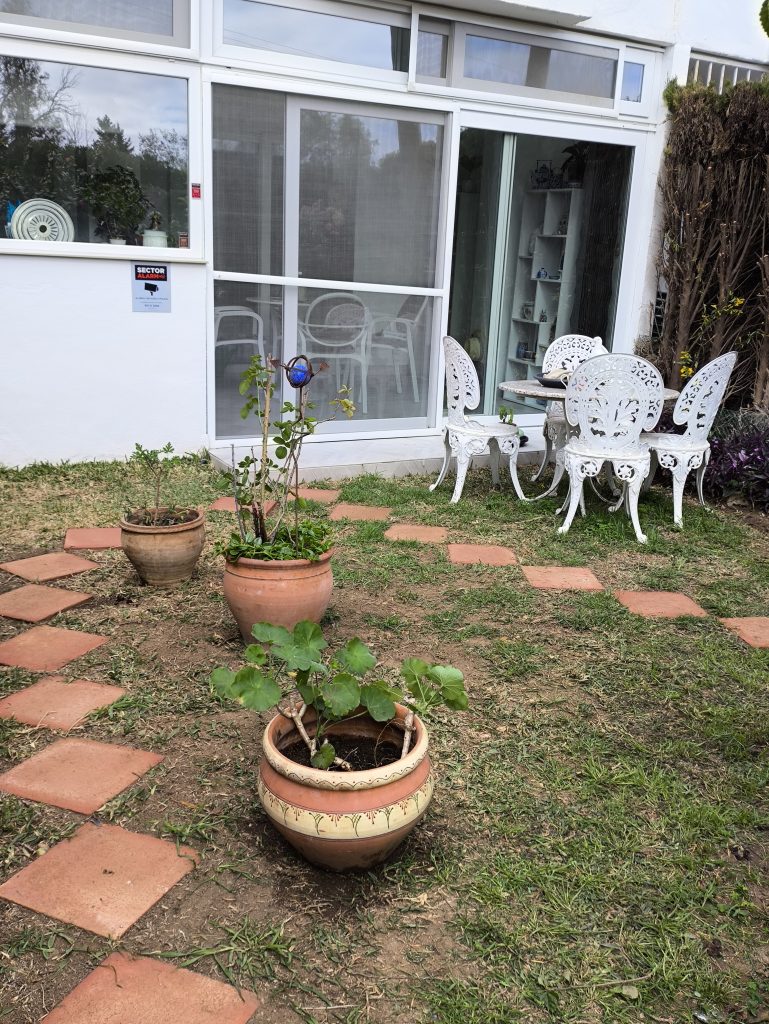 A small garden with terracotta tile path